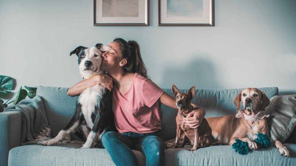 A person sitting on a sofa with three dogs of Best different Breed Tales, in a room with light blue walls and framed pictures.