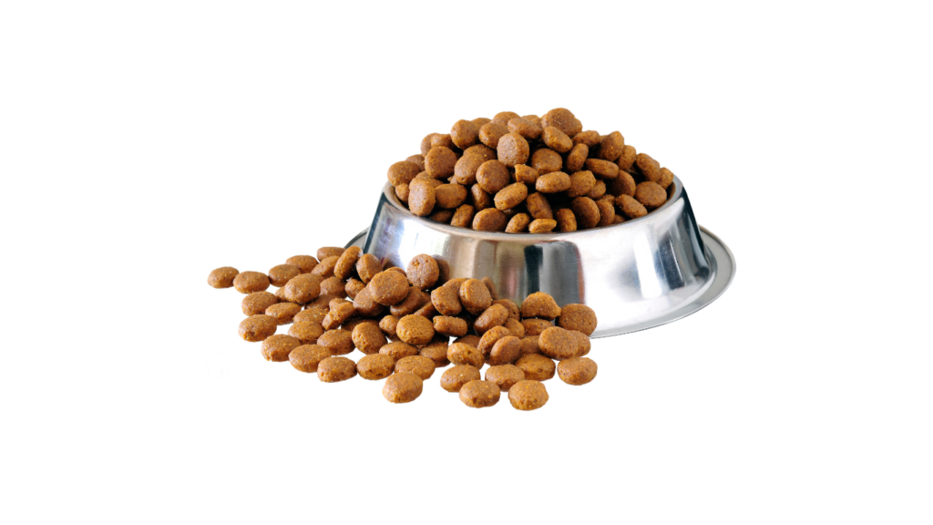 Best Dog Food for Allergies