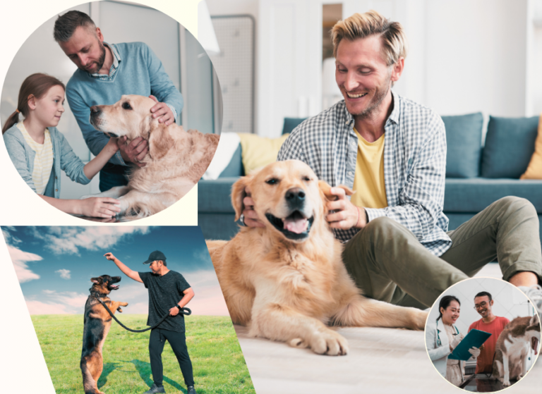 A collage of pictures featuring a man and his loyal German Shepherd dog, capturing their special bond and shared moments. visit about us!