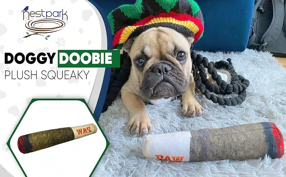 Best plush squeaky toy for dogs Nestpark Doggy Doobie review